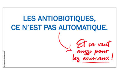 Les antibiotiques, ce n’est pas automatique… Et ça vaut aussi pour les animaux