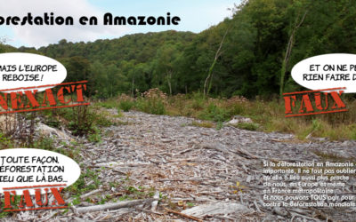 Incendie en Amazonie, l’arbre qui cache la forêt de la déforestation !