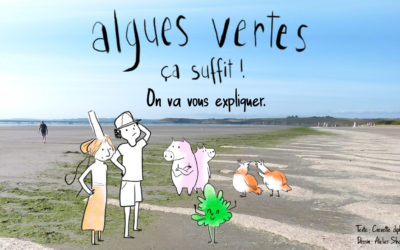 Algues vertes : ça suffit !